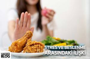 Stres Ve Beslenme Arasındaki İlişki Stres Ve Beslenme Arasındaki İlişki