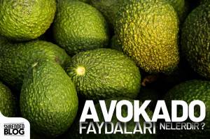 Avokadonun Faydaları Avokadonun Faydaları