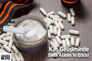 Kas Gelişiminde Beta Alanin’in Etkisi Kas Gelişiminde Beta Alanin’in Etkisi