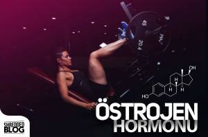 Östrojen Hormonu Östrojen Hormonu