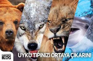 Uyku Tipinizi Ortaya Çıkarın!
