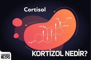 Kortizol Nedir?