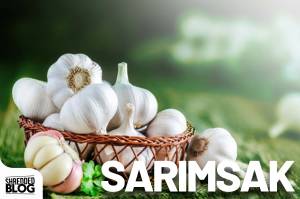 Doğal Antibiyotik Sarımsak