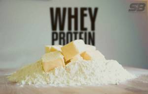 Whey Protein Kas Gelişiminde Neden Önemli? Whey Protein Kas Gelişiminde Neden Önemli?