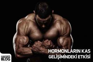 Hormonların Kas Gelişimindeki Etkisi