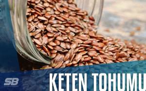 Keten Tohumu Faydaları Nelerdir? Keten Tohumu Faydaları Nelerdir?