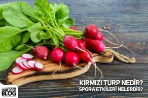 Kırmızı Turp Nedir? Spora Etkileri Nelerdir? Kırmızı Turp Nedir? Spora Etkileri Nelerdir?