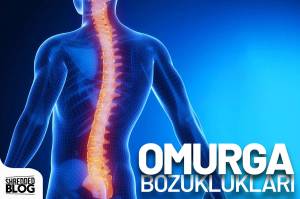 Omurga Bozuklukları Omurga Bozuklukları