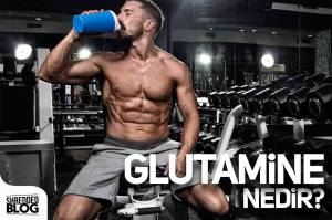 Glutamine Nedir ? Glutamine Nedir ?